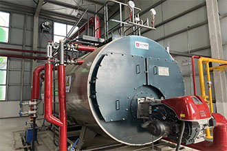 河南南陽(yáng)化工廠WNS4-1.25-Q燃?xì)庹羝仩t